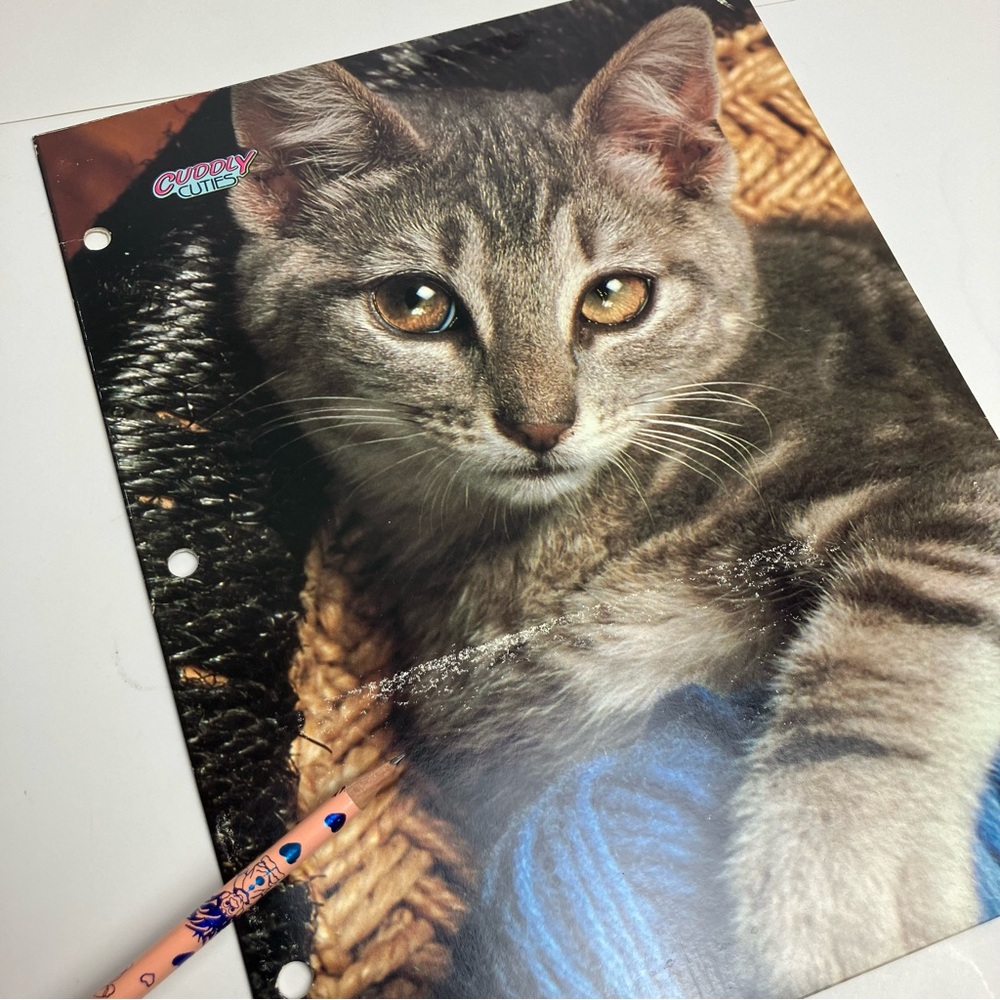 Vintage Folder Kitten Bundle of 2 80s School Supply 1987 - Picture 14 of 17